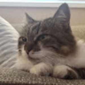 Meet your Posher, Christine